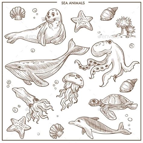 drawing of aquatic animals|Sea Animals and Fish .